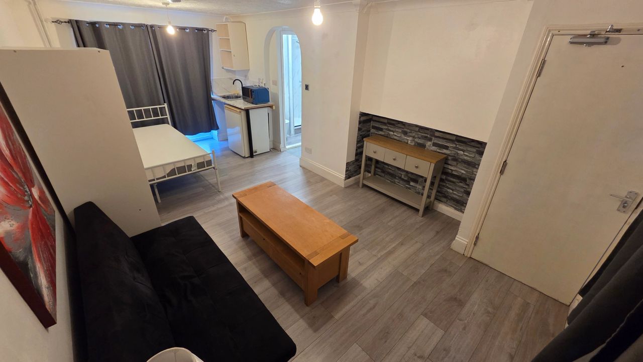 Studio-Style Apartment